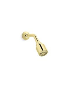 SHOWERHEAD WITH ARM