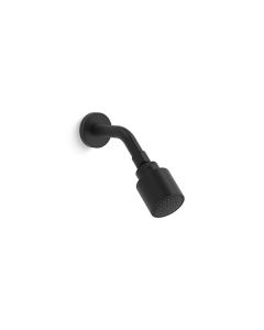 SHOWERHEAD WITH ARM