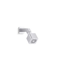SHOWERHEAD WITH ARM